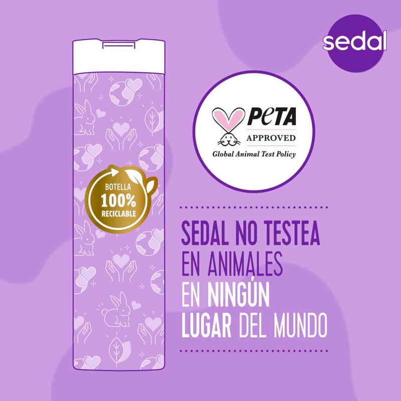 Acondicionador-Sedal-Liso-Perfecto-650-Ml-6-957172