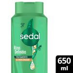 Acondicionador-Sedal-Rizos-Definidos-650-Ml-1-957168