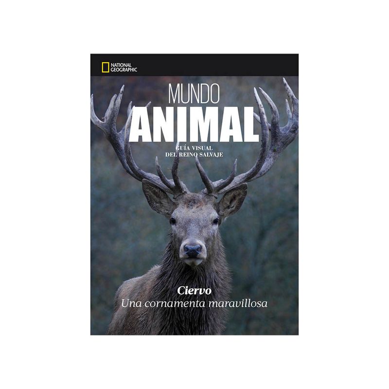 Libro-Ciervo-Animales-Arte-Grafica-1-1019442