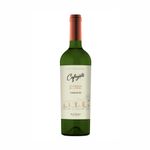 Vino-Cafayate-Terroir-De-Altura-Torrontes-750c-Vino-Cafayate-Terroir-De-Altura-Torrontes-750-Cc-1-1010995