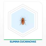 Insecticida-Raid-Max-Mata-Cucarachas-360ml-4-998051