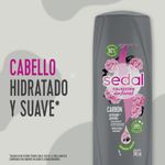 Acondicionador-Sedal-Carb-n-Activado-y-Peonias-340-Ml-Acondicionador-Sedal-Carb-n-Activado-Y-Peonias-340-Ml-6-972731