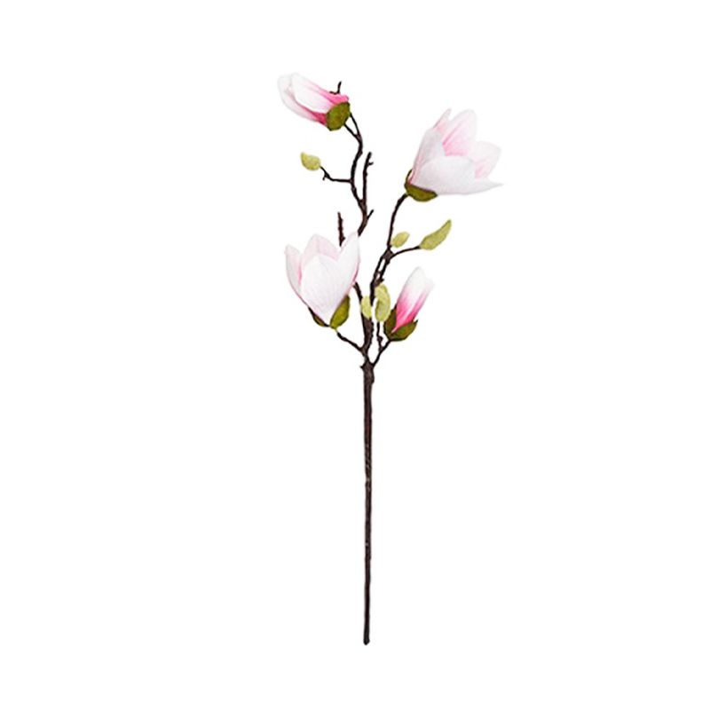 Magnolia-Rosa-Krea-1-1009411