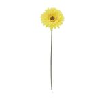 Gerbera-Tl-69cm-Amarilla-Krea-1-1009491