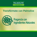 Jab-n-L-quido-para-Manos-Palmolive-Naturals-Camelia-500-Ml-Jab-n-L-quido-Para-Manos-Palmolive-Naturals-Camellia-Refill-500-Ml-4-956847