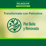 Jab-n-L-quido-para-Manos-Palmolive-Naturals-Camelia-500-Ml-Jab-n-L-quido-Para-Manos-Palmolive-Naturals-Camellia-Refill-500-Ml-5-956847