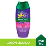 Jab-n-L-quido-Palmolive-Descanso-Floral-250ml-1-24507