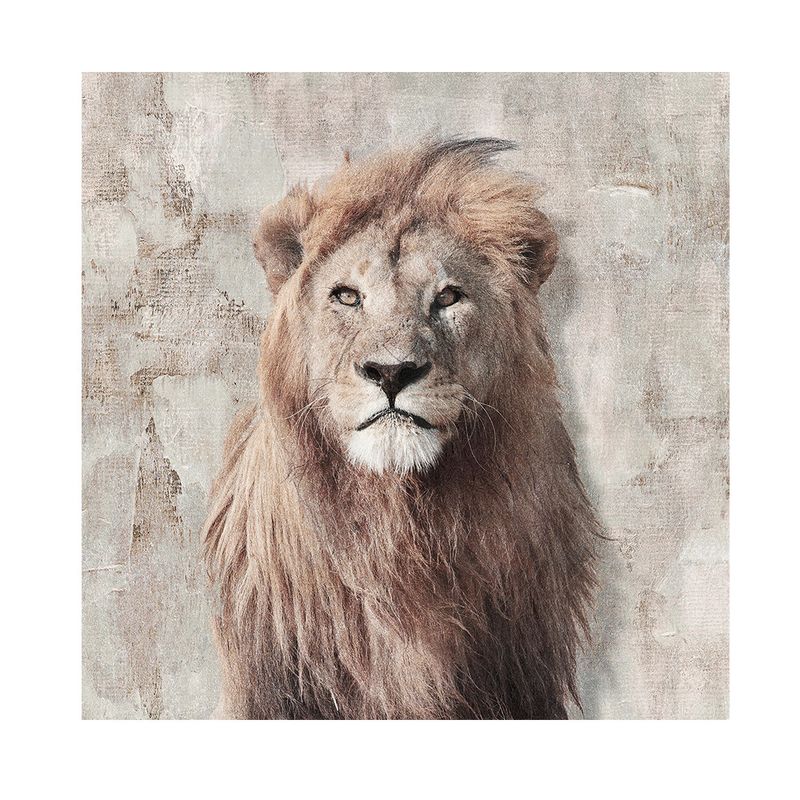 Canvas-20x20-Cm-Animales-02-Krea-1-1009053