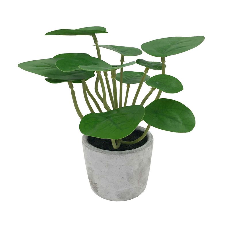 Planta-En-Maceta-D1-Krea-1-1009394