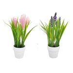 Flores-Con-Maceta-2c-D2-Krea-1-1009925