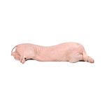 Medio-Lechon-Congelado-6kg-Aprox-1-879307