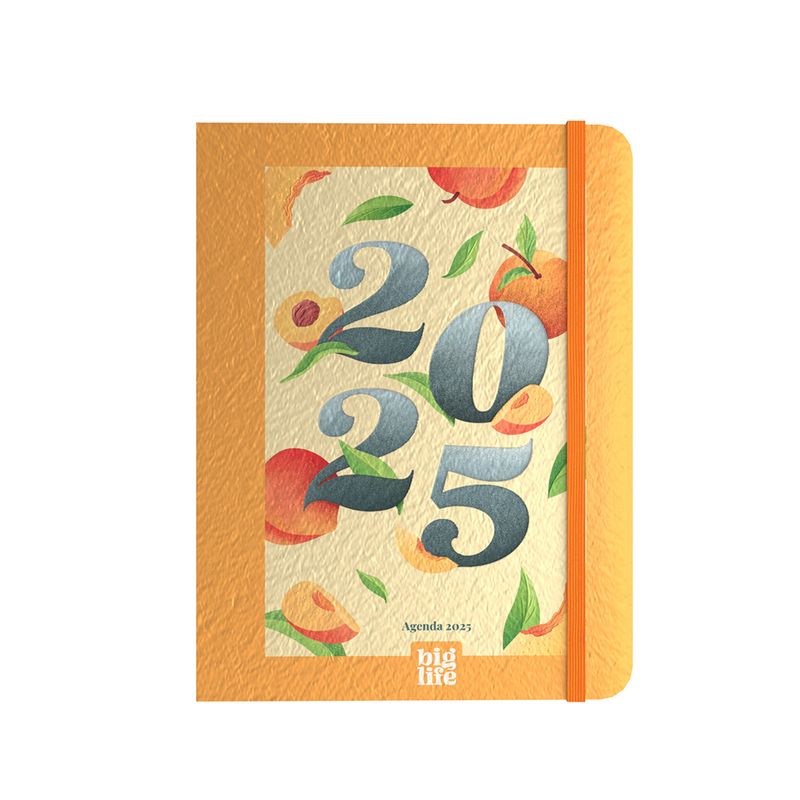 Agenda-Planner-16-Por-21-Liso-Ppr-1-1024073