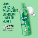 Crema-Para-Peinar-Sedal-Risos-Definidos-300-Ml-6-998776