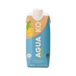 Agua-Infusionada-Ko-Agua-Limon-Y-Menta-1-1029213