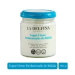 Yogur-Firme-Natural-La-Delfina-Deslactosado-160g-Yogur-La-Delfina-Firme-Natural-Deslactosado-160g-1-924934