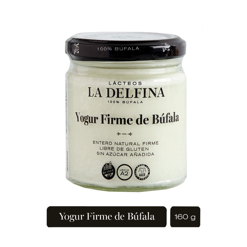 Yogur-La-Delfina-Firme-Natural-160g-1-924940