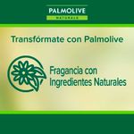 Jabon-Liquido-Palmolive-Naturals-Camelia-Doypack-200-Ml-5-1015154