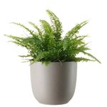 Set-Maceta-Pl-stica-Fern-Fog-Outzen-Maceta-Plastica-Outzen-Fern-Fog-28-5-1017385