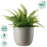 Set-Maceta-Pl-stica-Fern-Fog-Outzen-Maceta-Plastica-Outzen-Fern-Fog-28-6-1017385