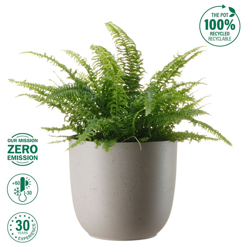 Set-Maceta-Pl-stica-Fern-Fog-Outzen-Maceta-Plastica-Outzen-Fern-Fog-28-6-1017385