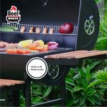 Parrilla-Carbon-Tambor-Y-Bandejas-Laterales-Be-6-1031844