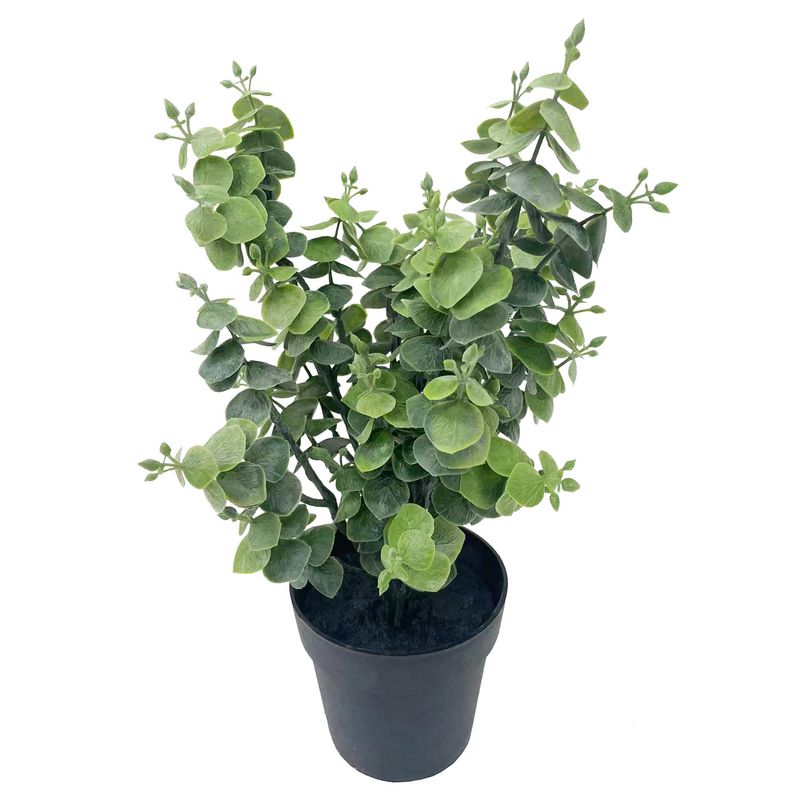 Planta-En-Maceta-D6-Krea-2-1022990