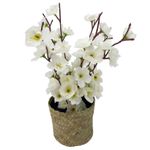 Flor-En-Canasto-Nativa-Krea-2-1022993