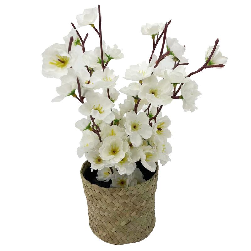 Flor-En-Canasto-Nativa-Krea-2-1022993