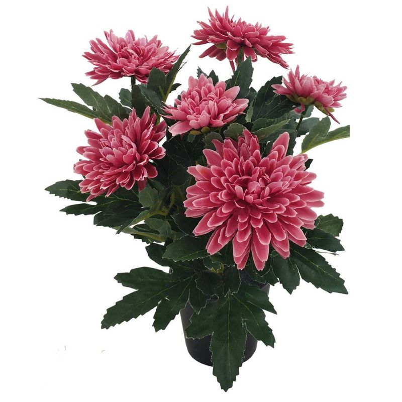 Flor-En-Maceta-Mexico-Krea-2-1022996