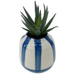 Suculenta-Ceramica-Dolce-Vita-Krea-2-1022994