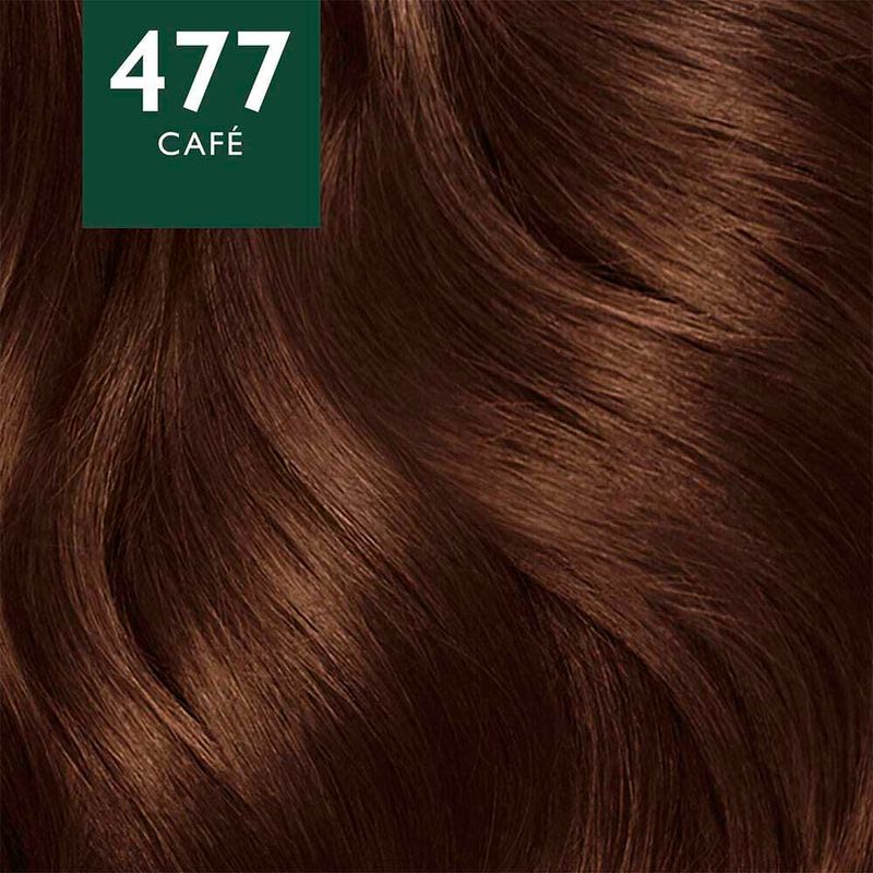 R-Soft-Color-Kit-477-Intense-Coffee-3-849627