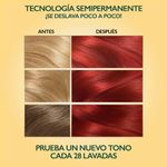 Tinte-Para-Cabello-Soft-Color-7745-Granada-Intenso-Coloraci-n-Soft-Color-Granada-Intense-Kit-7745-4-849625