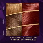 Crema-De-Color-Koleston-Borgo-a-Intenso-Kit-No-466-6-721063