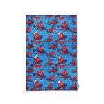 Frazada-Super-Soft-Spiderman-1-1034922