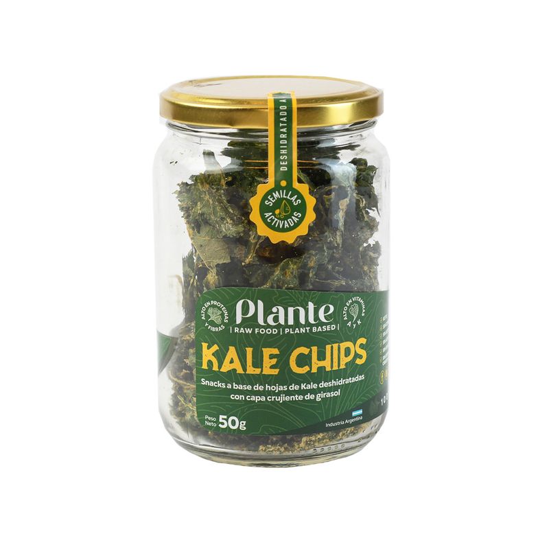 Snack-Kale-Y-Queso-De-Girasol-50-G-Plante-Snack-Kale-Y-Queso-De-Girasol-Plante-50gr-1-1035254
