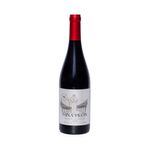 Vino-Lorca-Vi-a-Peon-Mencia-Amandi-750cc-1-1033212