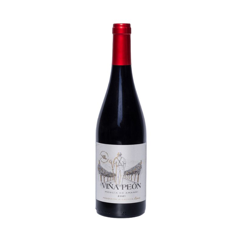 Vino-Lorca-Vi-a-Peon-Mencia-Amandi-750cc-1-1033212
