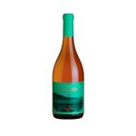 Vino-Casa-Boher-San-Agrelo-Viognier-750cc-Vino-San-Agrelo-Viognier-X-750-Cc-Casa-Boher-1-1036927