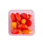 Cherry-Chocolate-X-200-Gr-Terrasol-1-1036931
