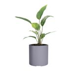 Maceta-Plastica-Amalfi-Cilindro-30-Gris-Grafit-1-1037573