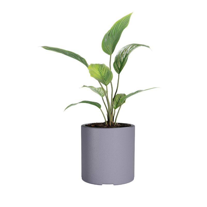 Maceta-Plastica-Amalfi-Cilindro-30-Gris-Grafit-1-1037573