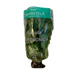 Rucula-Hidroponica-100-Gr-1-1035457