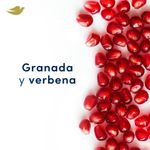 Antitranspirante-Fresh-Care-Granada-Y-Verbena-Roll-on-50-Ml-Dove-3-945760