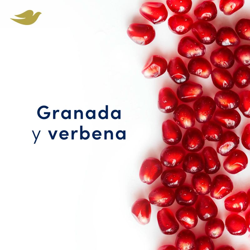 Antitranspirante-Fresh-Care-Granada-Y-Verbena-Roll-on-50-Ml-Dove-3-945760