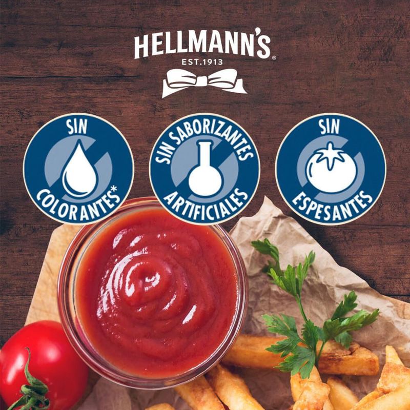 Ketchup-Hellmann-s-Regular-Doypack-250-Gr-5-890014