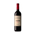 Vino-Particular-Cabernet-Sauvignon-Cosecha-2020-2-1009848