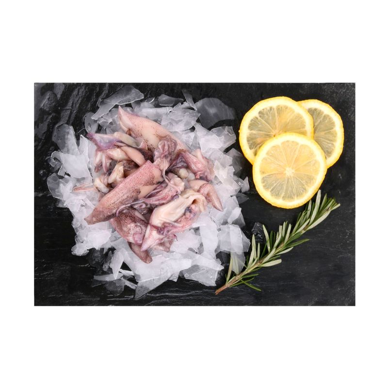 Calamaretes-Importados-Congelados-Por-Kg-2-249205
